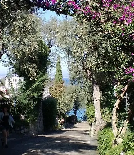 Campsite Nube D'argento *